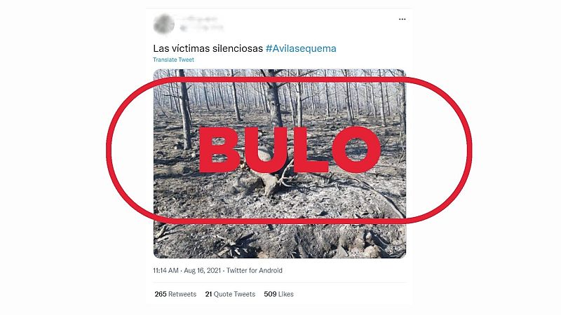 Esta foto no pertenece al incendio entre Navalacruz y Cepeda de la Mora