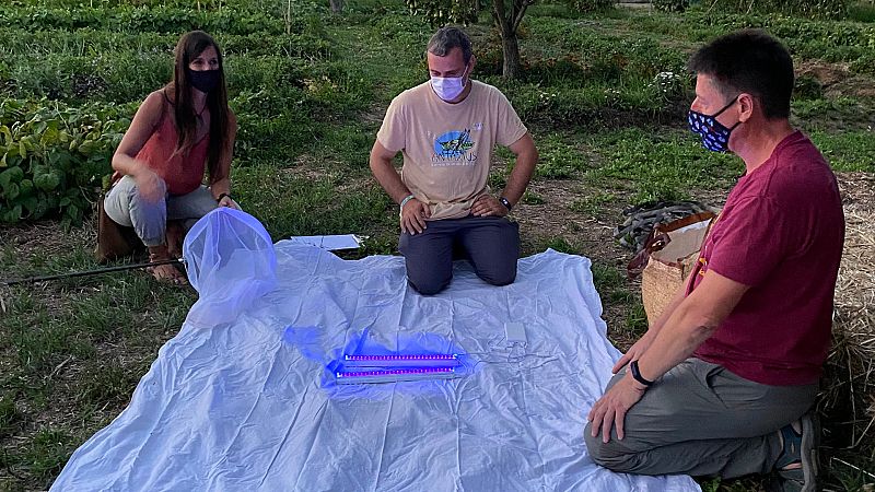 Descubrimos la luz de las luciérnagas junto a Evelyn Segura