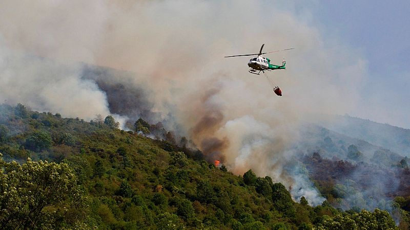 El Consejo de Ministros declarará como 'zonas catastróficas' las comunidades afectadas por los incendios