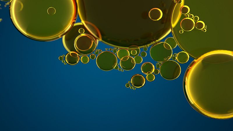 Omega-3 y vegetarianos: muchas dudas y pocos problemas