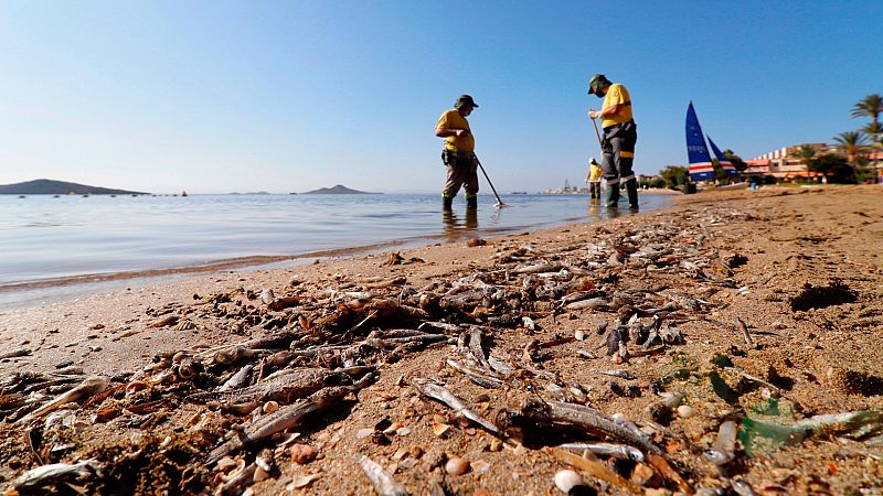 La lucha ciudadana por dotar al Mar Menor de personalidad jurdica para protegerlo