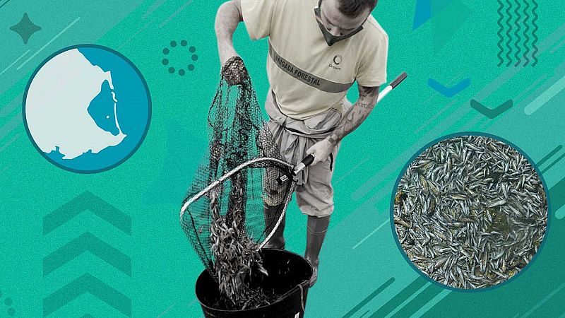 Los efectos del calentamiento global en 'Informe semanal'
