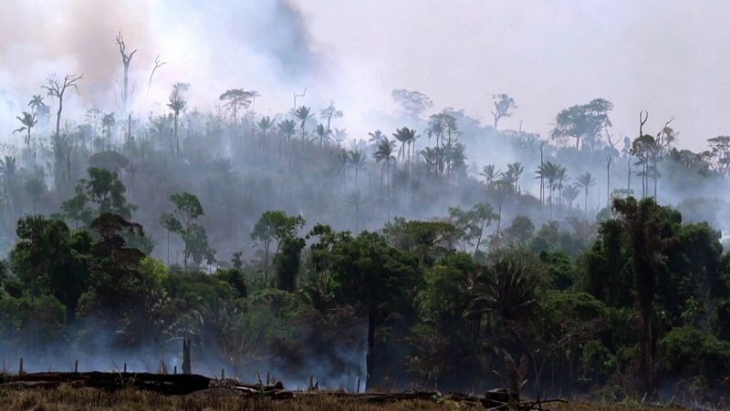 La política económica de Bolsonaro en la Amazonía asfixia el pulmón del planeta