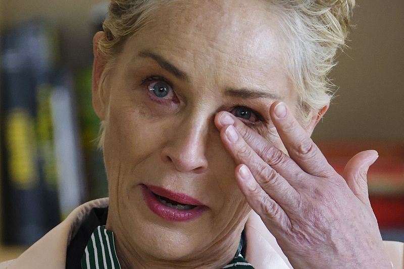 Sharon Stone, destrozada por la muerte de su sobrino River de 11 meses, recibe una oleada de cariño de Hollywood