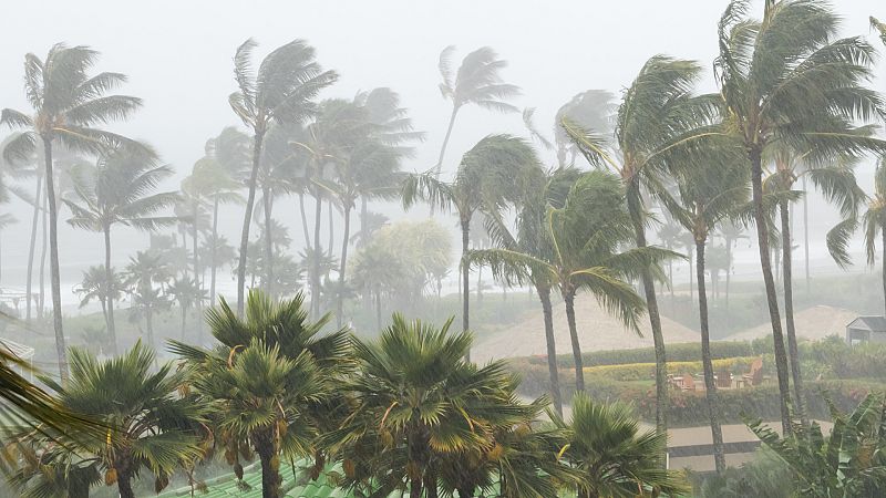 ¿Hay relación entre las lluvias de final del verano, los huracanes y el mar?