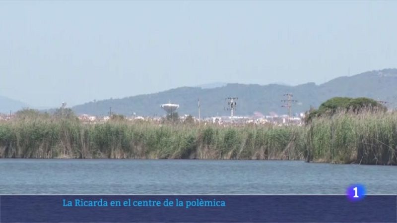 La Generalitat no avalarà cap proposta d'ampliació de l'aeroport del Prat que afecti la llacuna de la Ricarda