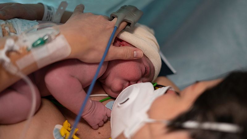 Los nacimientos registraron en julio la cifra más alta desde octubre de 2019: casi mil niños al día