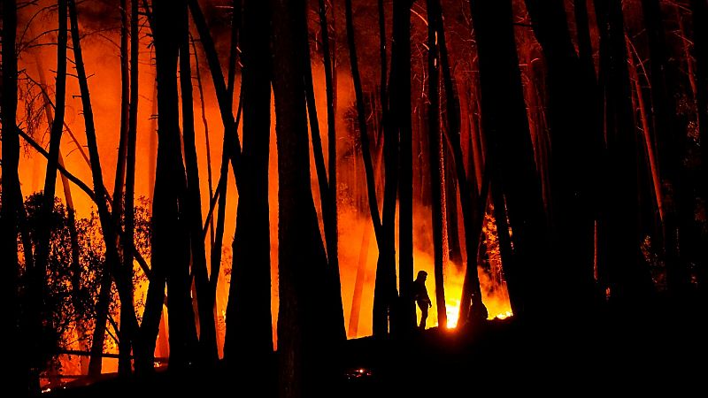 ¿Cómo se investiga el origen de un incendio forestal?