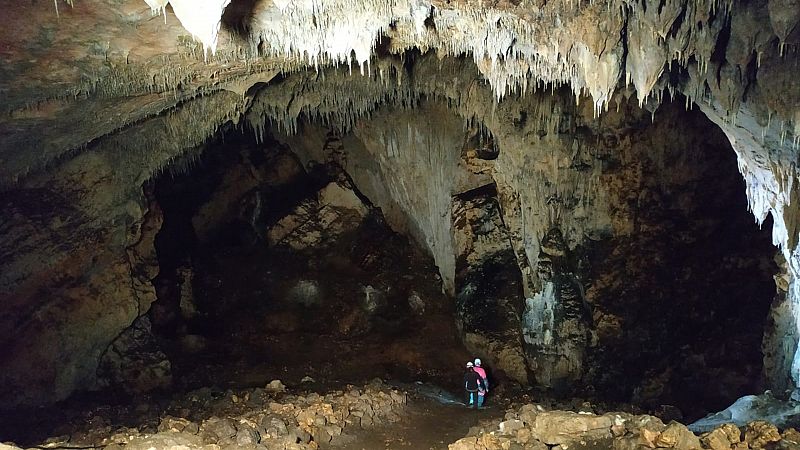 Atapuerca investiga la desaparicin de los neandertales