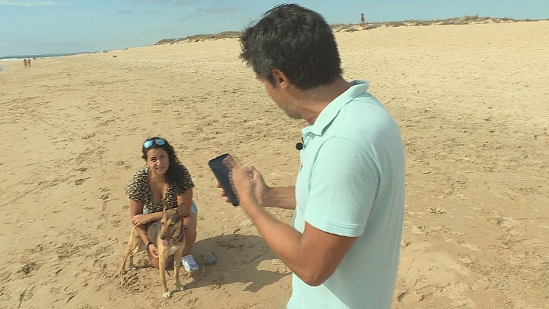 'Amores perros': el auge de las mascotas, en 'Comando actualidad'