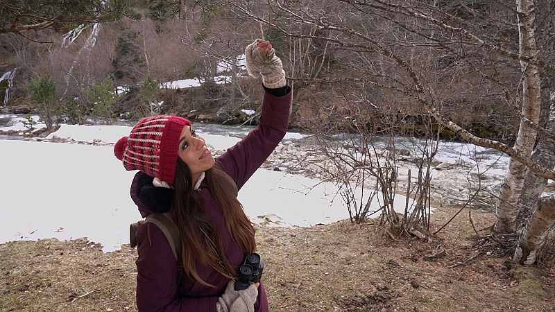 '¡Qué animal!' descubre nuevos superpoderes de la fauna en La 2