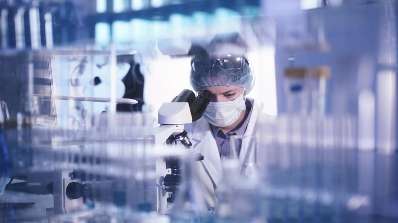 El Gobierno aprueba la inversión de 522 millones de euros en investigación científica y contratación predoctoral
