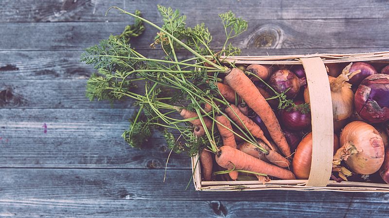 La sostenibilidad es la última tendencia en gastronomía