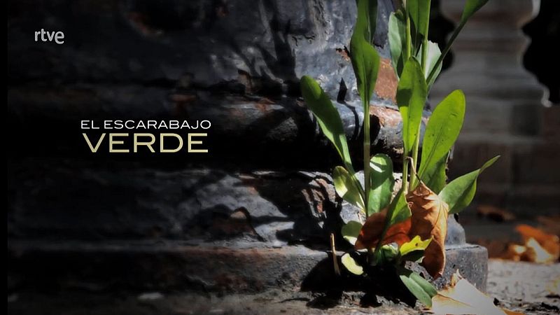'El escarabajo verde', galardonado con el VII Premio Nueva Cultura del Territorio 2021