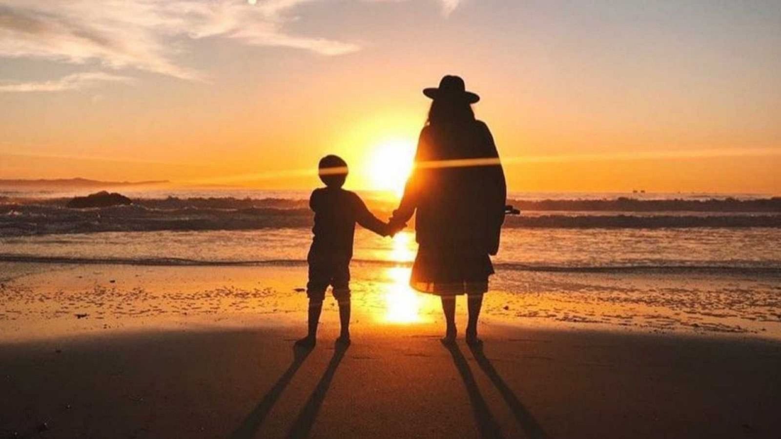 Corazón - Los animales salvajes se cuelan en las casas de Raquel del Rosario, Shakira y Elsa Pataky