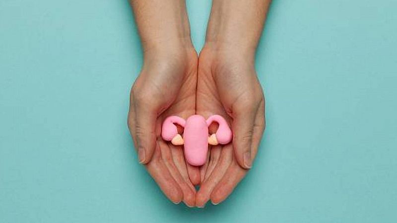 Menopausa precoç: La importància de sotmetre's a un tractament hormonal