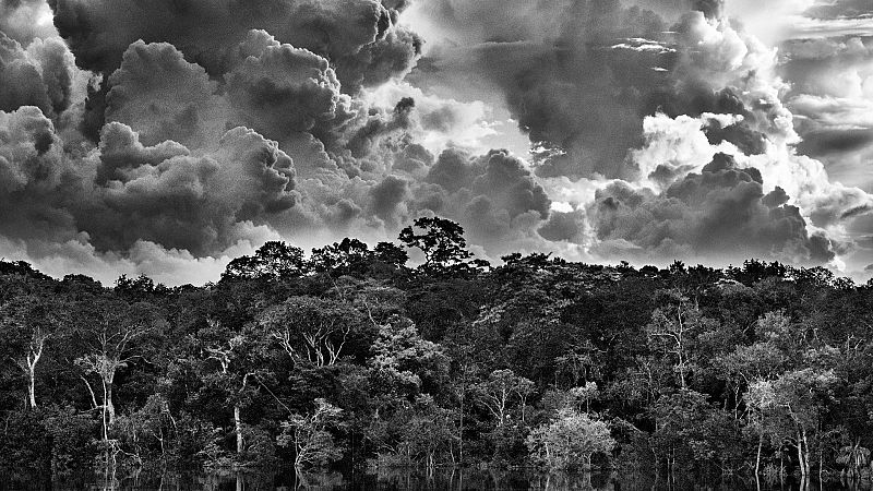 Sebastião Salgado, fotografía al servicio del planeta