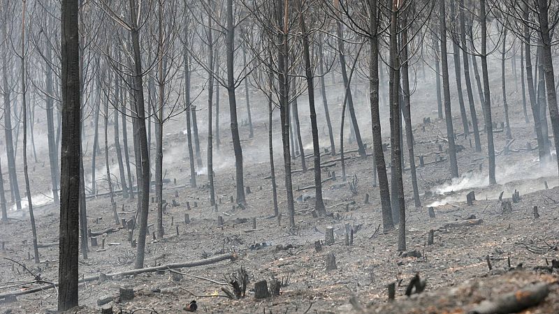 España ante el cambio climático: un país más cálido, más seco y más vulnerable