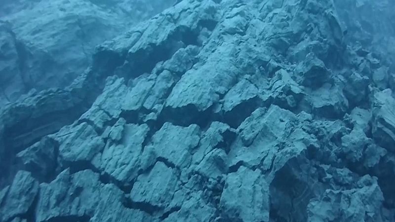 Captan imágenes submarinas de la fajana en La Palma: así es la vida y la transformación bajo el agua