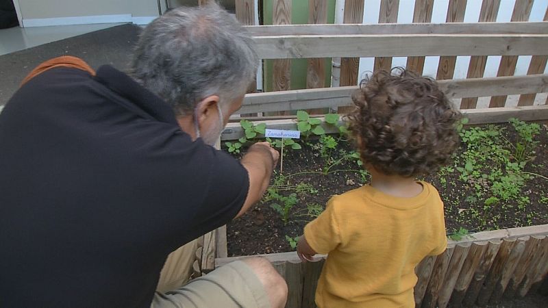 Modelos alternativos de enseñanza, en 'Comando actualidad'