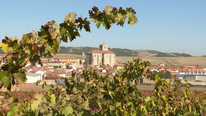 Mucientes: el pueblo de las 200 bodegas