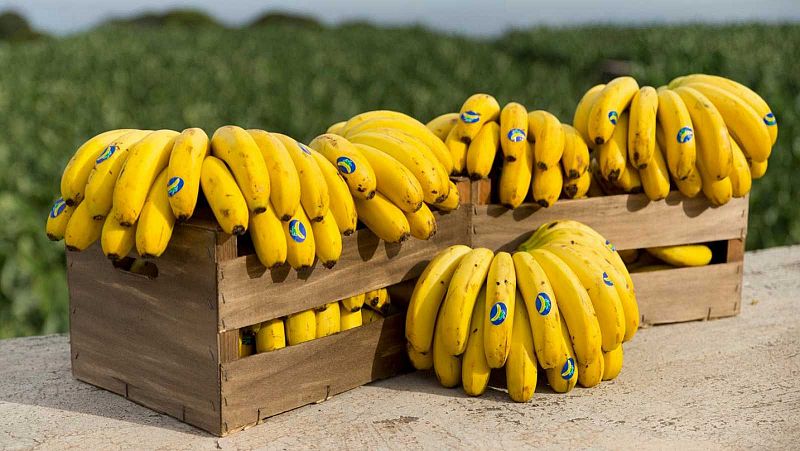 Te contamos por qué el plátano no engorda