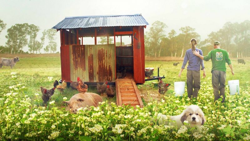 RTVE Play estrena el documental 'Mi gran pequeña granja', el sueño de vivir en armonía con la naturaleza