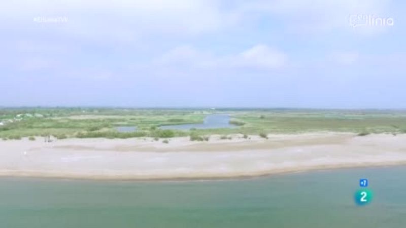 Canvi climàtic a Catalunya: estem a temps de frenar-lo?