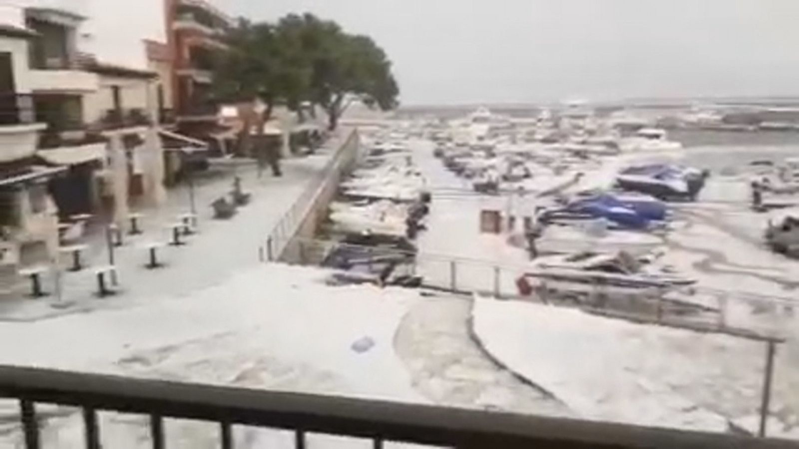 Pendents del temporal | Ver