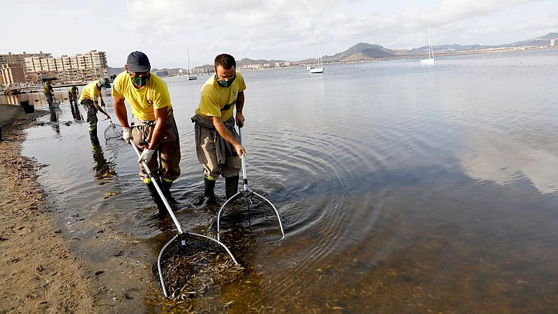 Del Mar Menor a las Tablas de Daimiel: los ecosistemas espaoles en la UCI