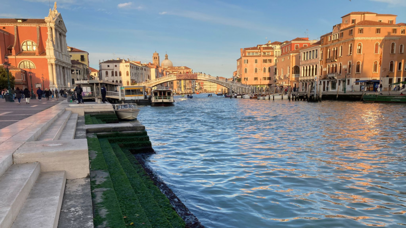 Venecia lucha contra la creciente amenaza de 'l'acqua alta'