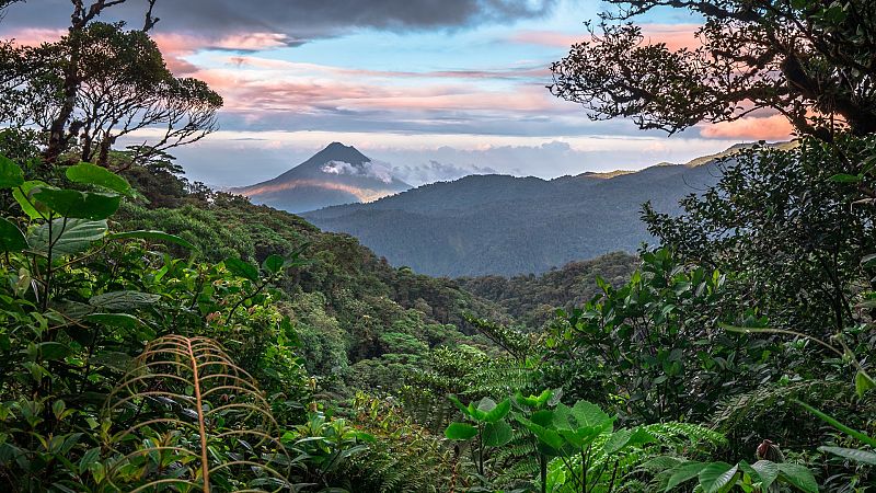 Costa Rica, ejemplo contra la deforestación: duplica sus bosques tras cambiar el modelo productivo