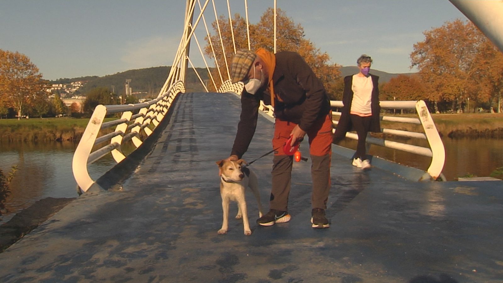Aprender a ser "bo cidadán canino"
