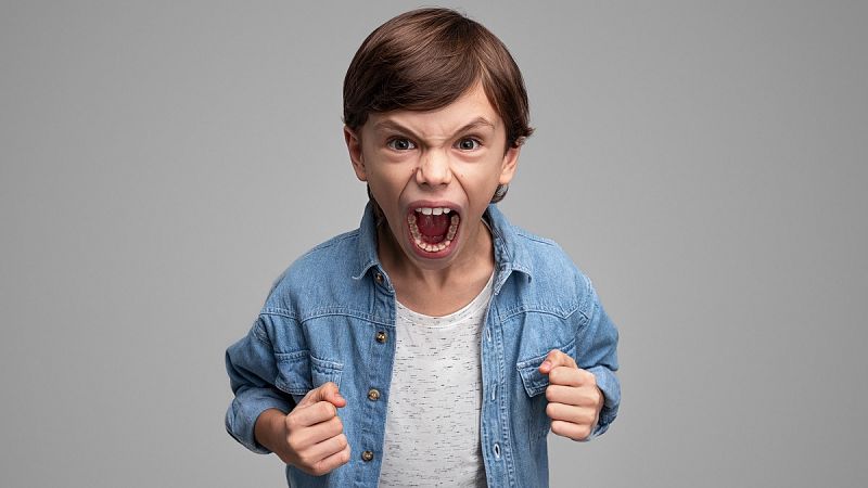¿Cómo evitar que nuestros hijos se comporten con agresividad?