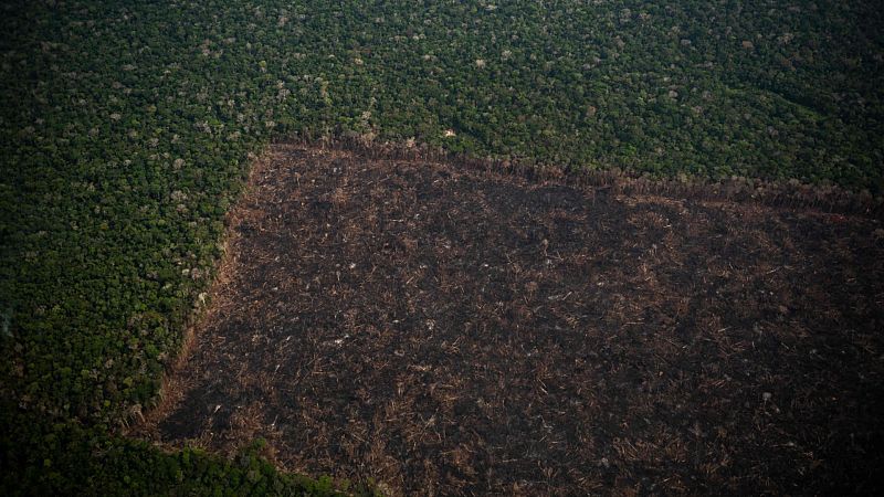La Amazonía brasileña registra la mayor deforestación de los últimos 15 años