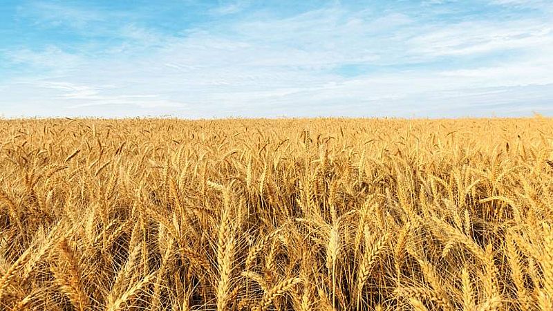 La Eurocámara aprueba la reforma de la Política Agrícola Común tras tres años de negociaciones