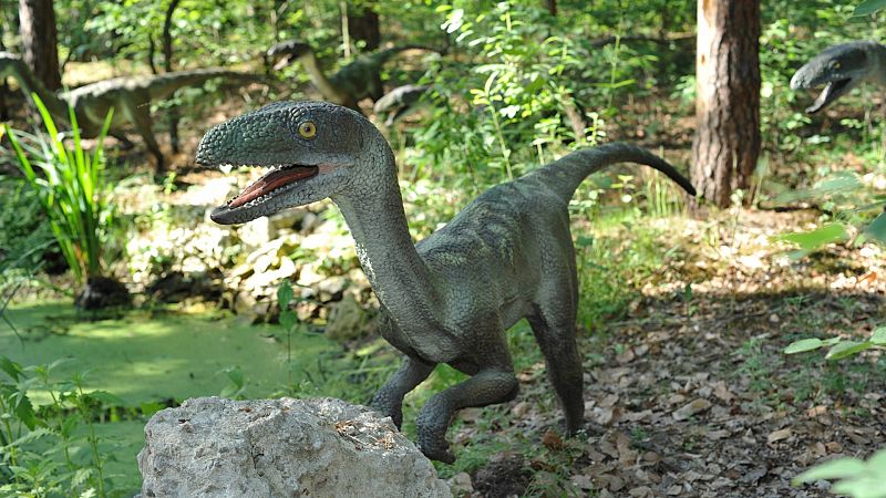 El mito de "Parque Jurásico": ¿Cómo eran en realidad los velocirraptores?