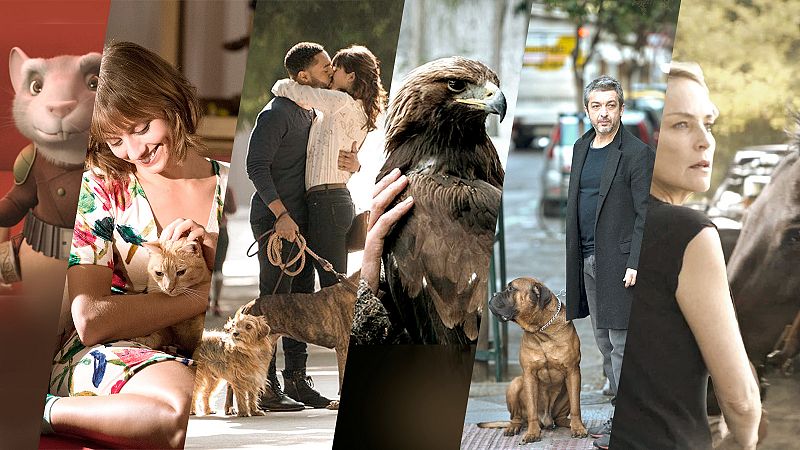 Las mejores pelculas con animales entre el reparto en RTVE Play