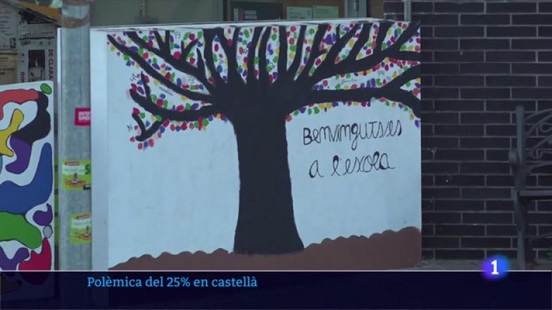 El TSJC demana a Educació que demostri que s'aplica el 25% en castellà a l'escola de Canet de Mar
