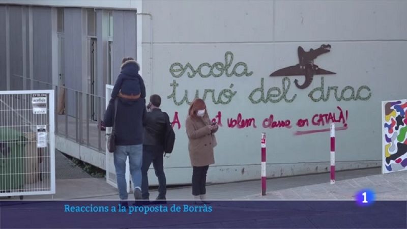 El Parlament debatrà una proposta per garantir el 25% en castellà a l'escola i una altra defensant la immersió