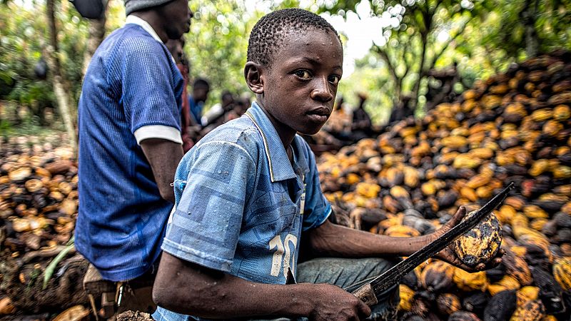 Nios esclavos, el precio del chocolate, quin es el responsable?