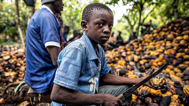 Niños esclavos, el precio del chocolate, ¿quién es el responsable?