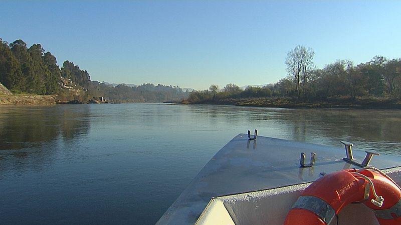 O tramo baixo do río Miño será un destino turístico navegable