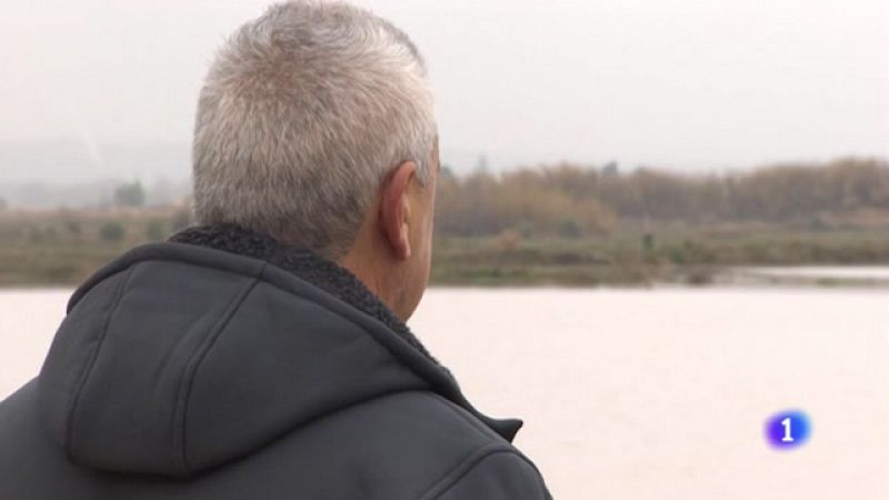 Agricultores y ganaderos evalúan los daños de la crecida extraordinaria del Ebro