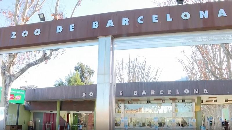 El Zoo de Barcelona impulsa el primer banco biológico de España de tejidos y células animales