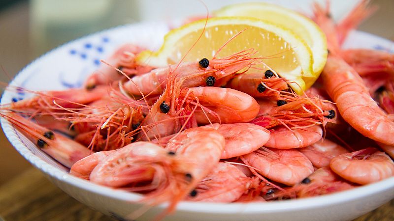¿Son familia las gambas y la cucarachas? Y más curiosidades sobre las gambas