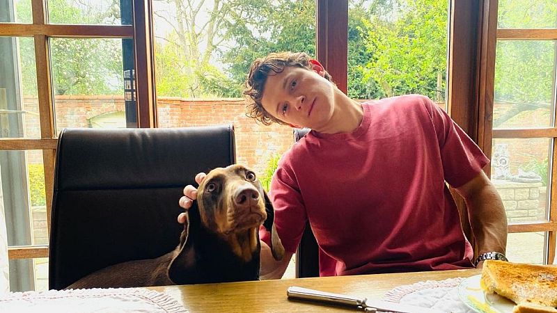 Tom Holland lleva al set de Spider-Man al niño que salvó a su hermana del ataque de un perro