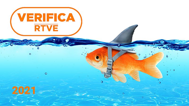 2021 en bulos: del falso tsunami a las cucharas que amaban a las vacunas