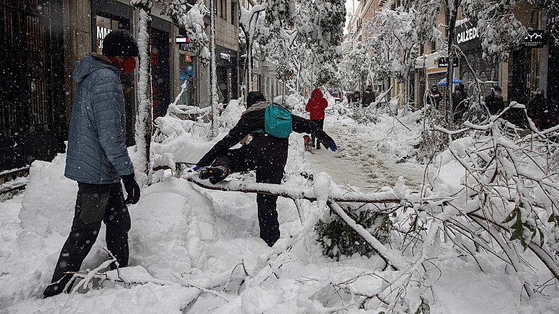 Filomena, un año después: los pulmones verdes de las ciudades comienzan a respirar tras la "catástrofe ecológica"