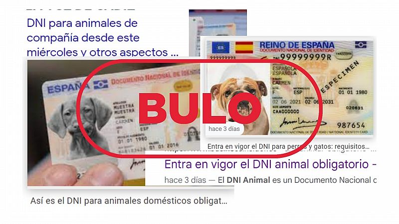 El DNI para animales: no ha entrado en vigor, se prevé para 2023